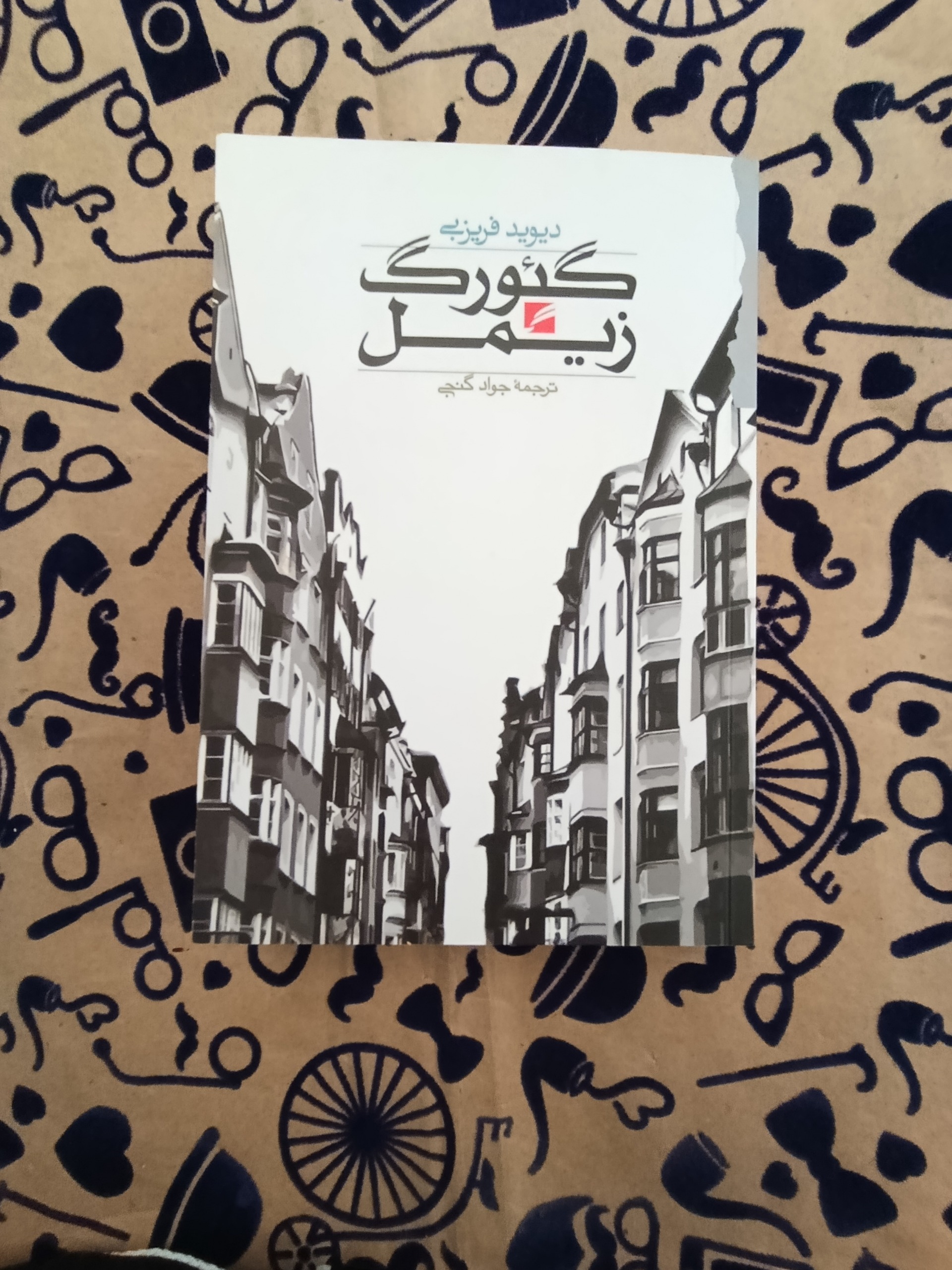 گئورگ زیمل (دیوید فریزبی)