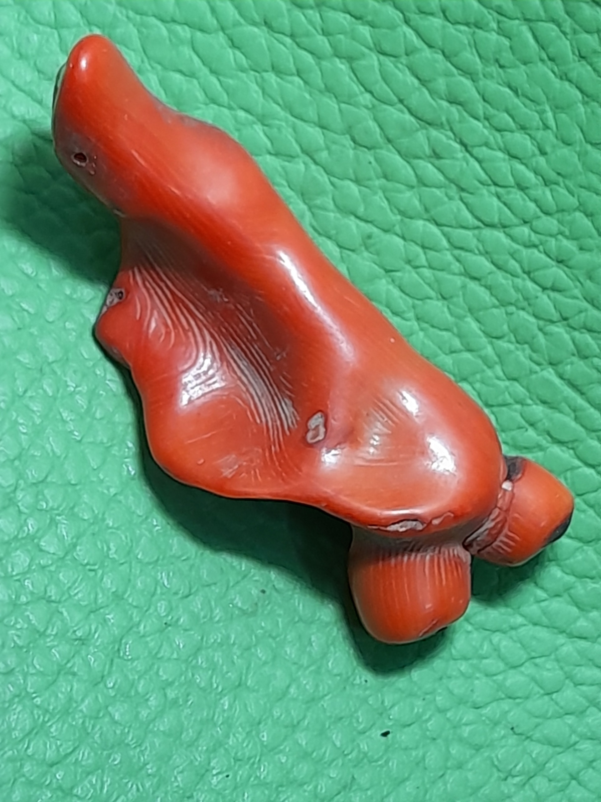 سنگ مرجان دریایی طبیعی کلکسیونی و آنتیک