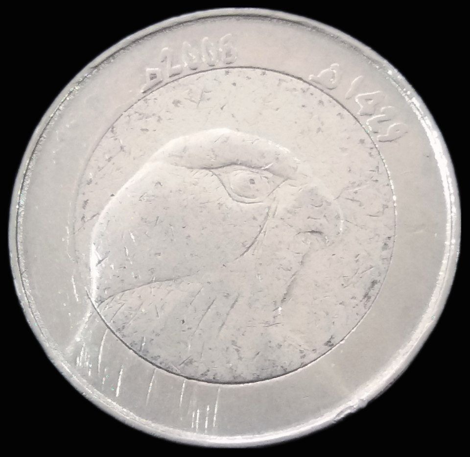 10 دینار 2006 الجزایر (گالری بخشایش)