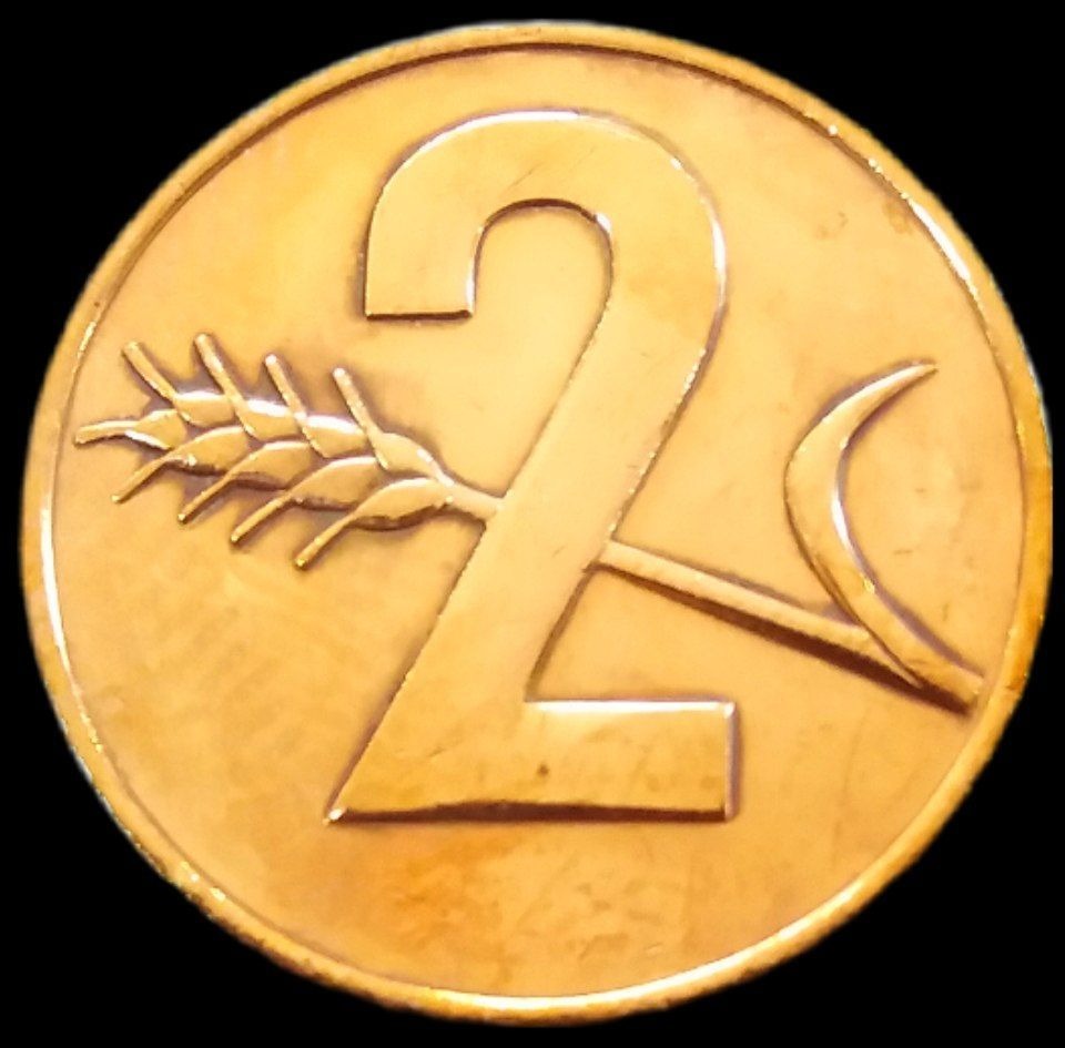 2 راپن قدیمی 1970 سوئیس (گالری بخشایش)