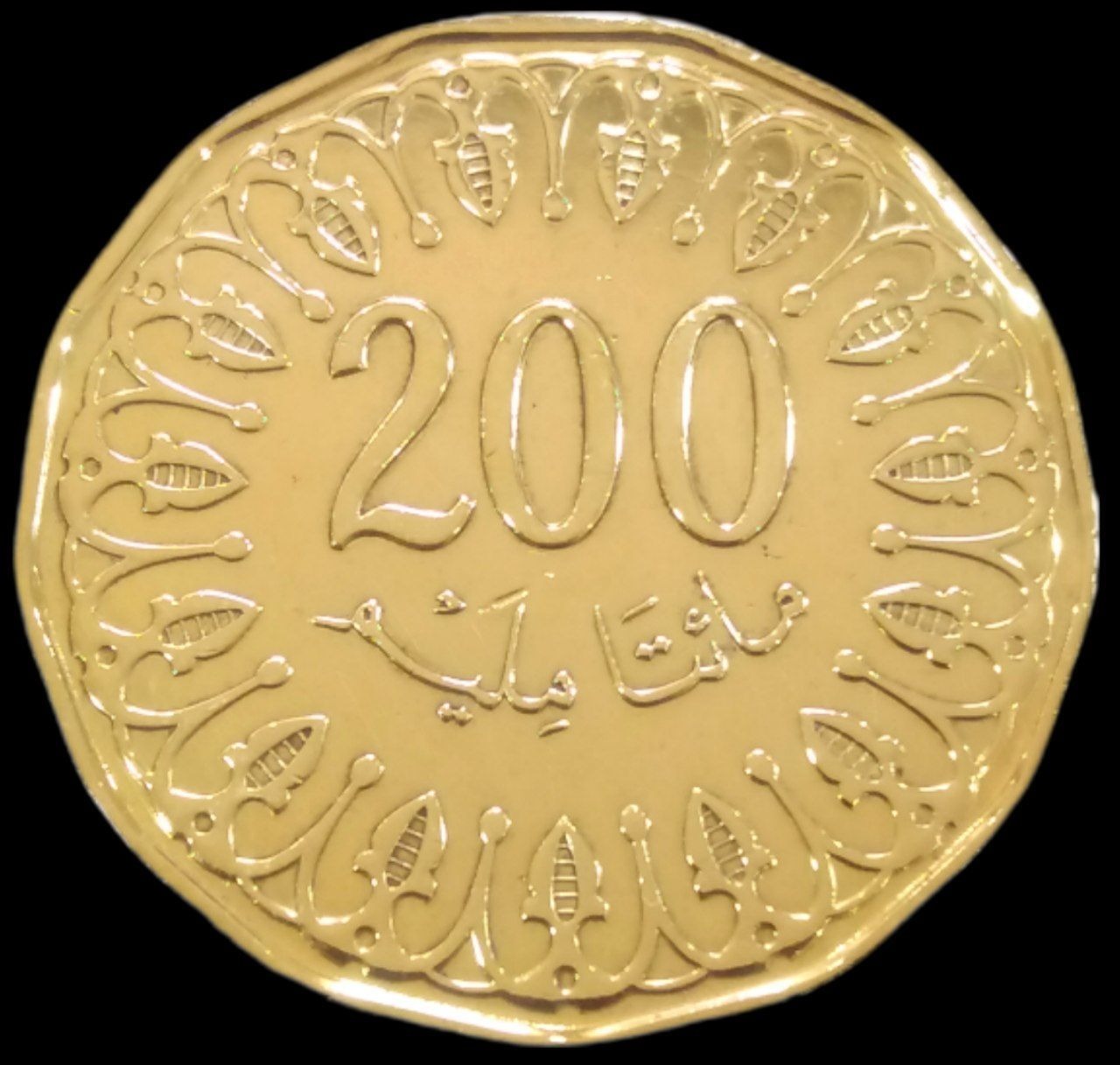200 میلیم درشت 2020 تونس (گالری بخشایش)