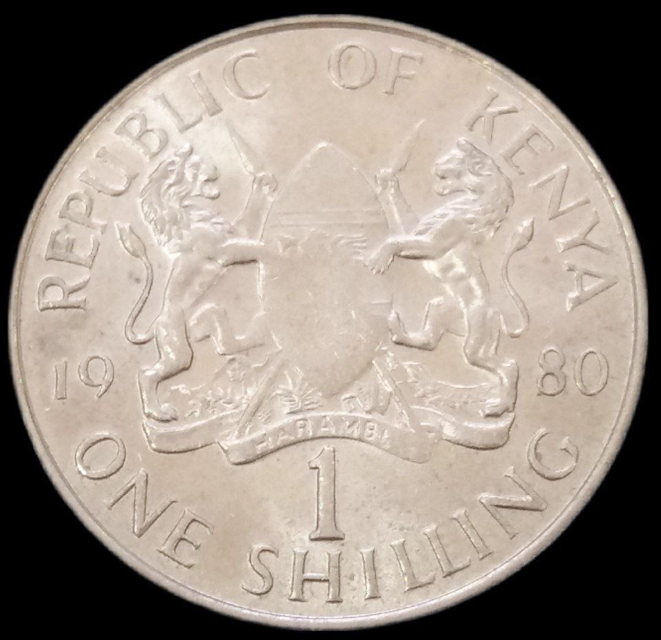 1 شیلینگ کمیاب 1980 کنیا (گالری بخشایش)