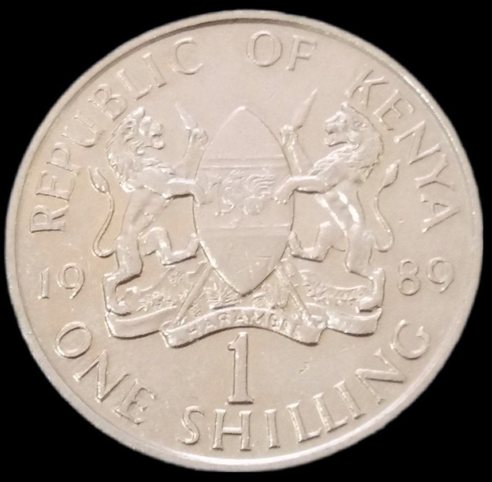 1 شیلینگ کمیاب 1989 کنیا (گالری بخشایش)