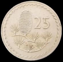 25