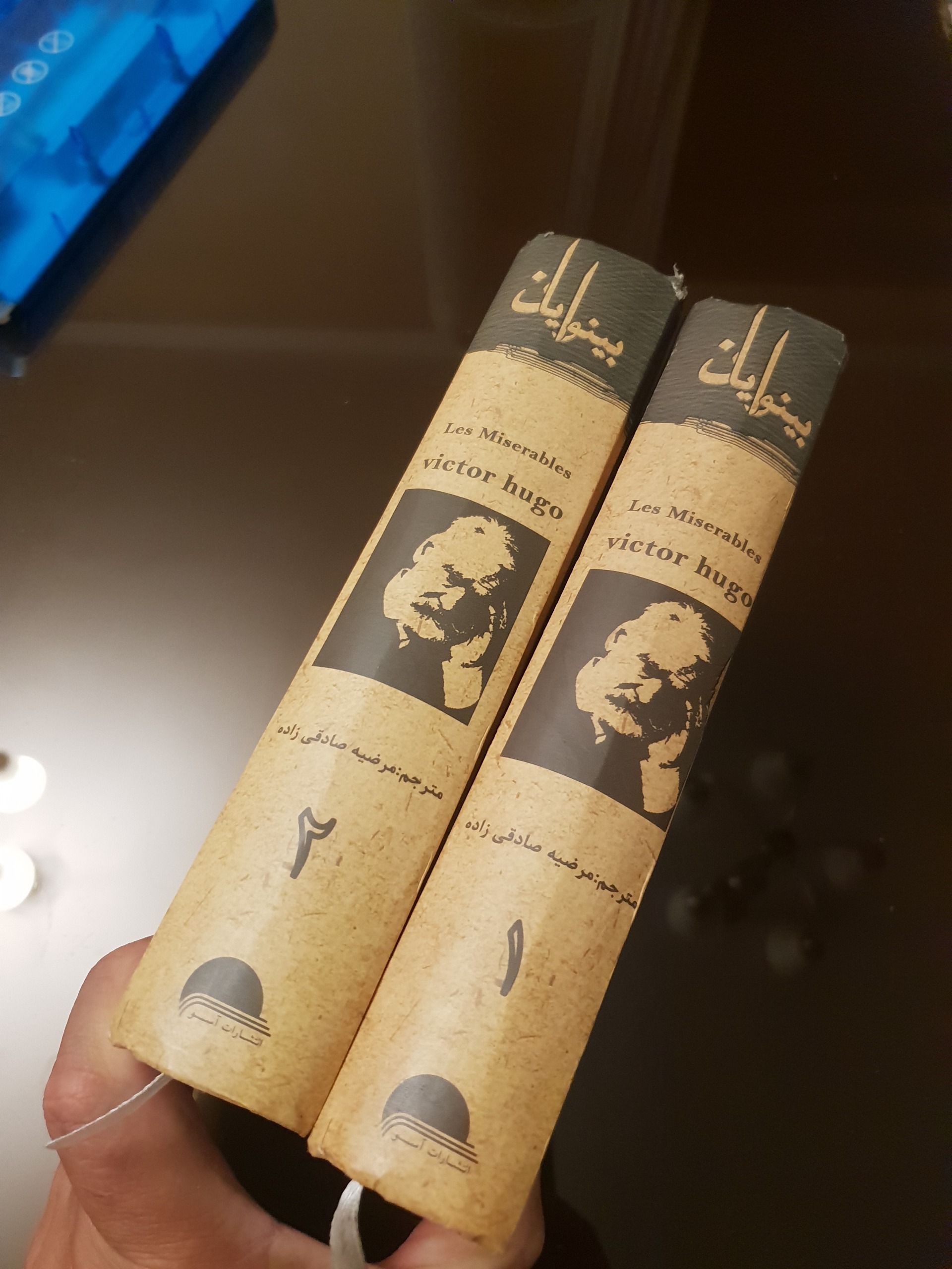 کتاب دوجلدی بینوایان
