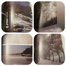 جاذبه