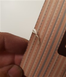 ظهور