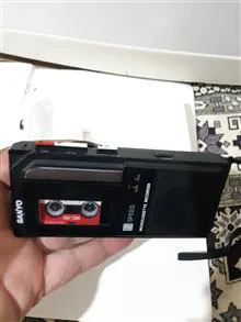 ظبط