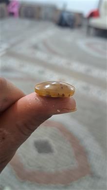 توپی