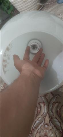 لوستر