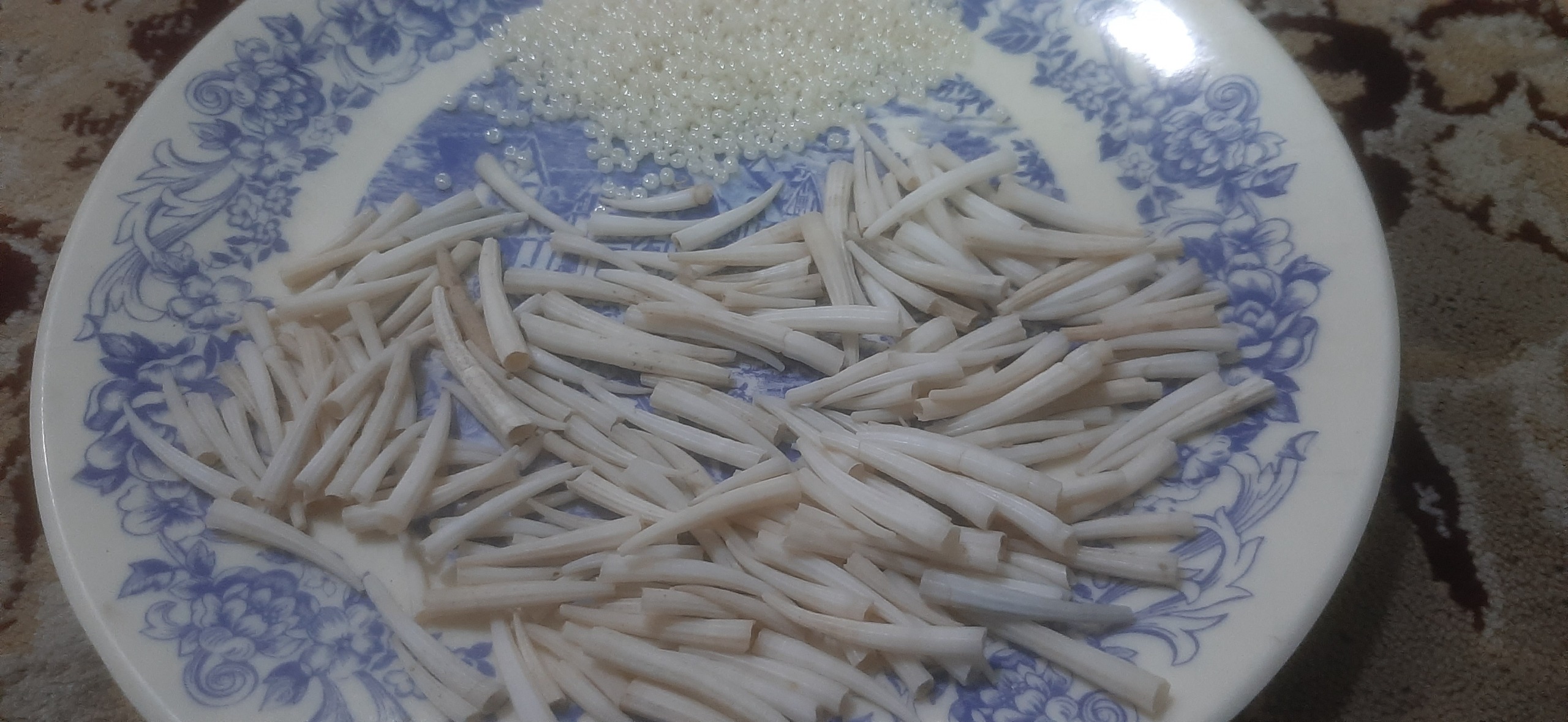 صدف دندان گرگی 220عدد و مروارید