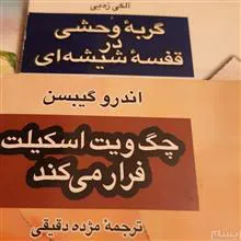 امیل
