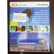 انیمیشن«ماجراهای