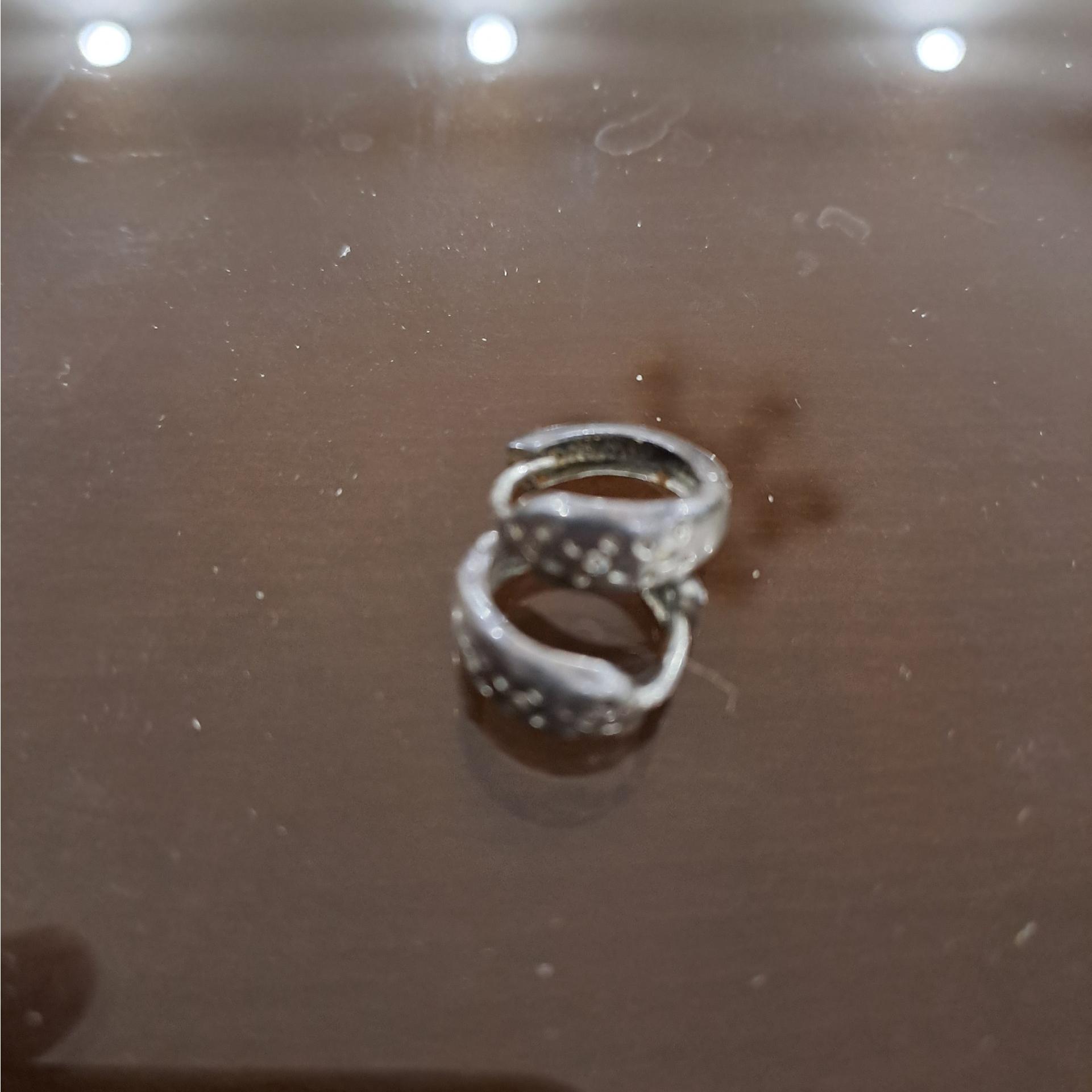 گوشواره ظریف نقره