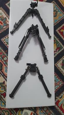 دوپایه
