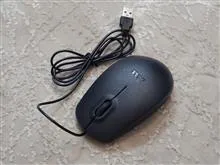 ماوس