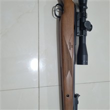مگنوم