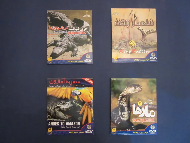 شاه مار زنگی، ضیافت کروکودیل ها، سفر به آمازون