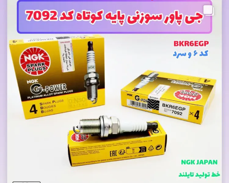 شمع موتور سوزنی NGK