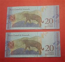 جفت