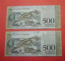 جفت