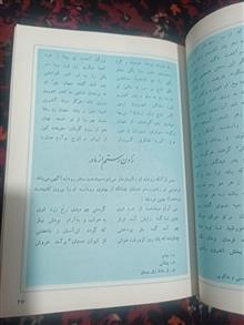 گزیده