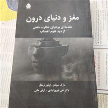 مغز