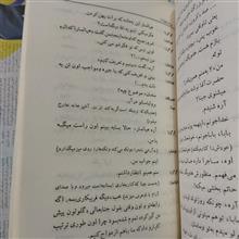 مرغابی