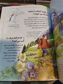 دایره