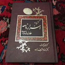 گزیده