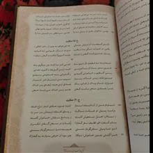 گزیده