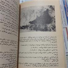 تریلوژی