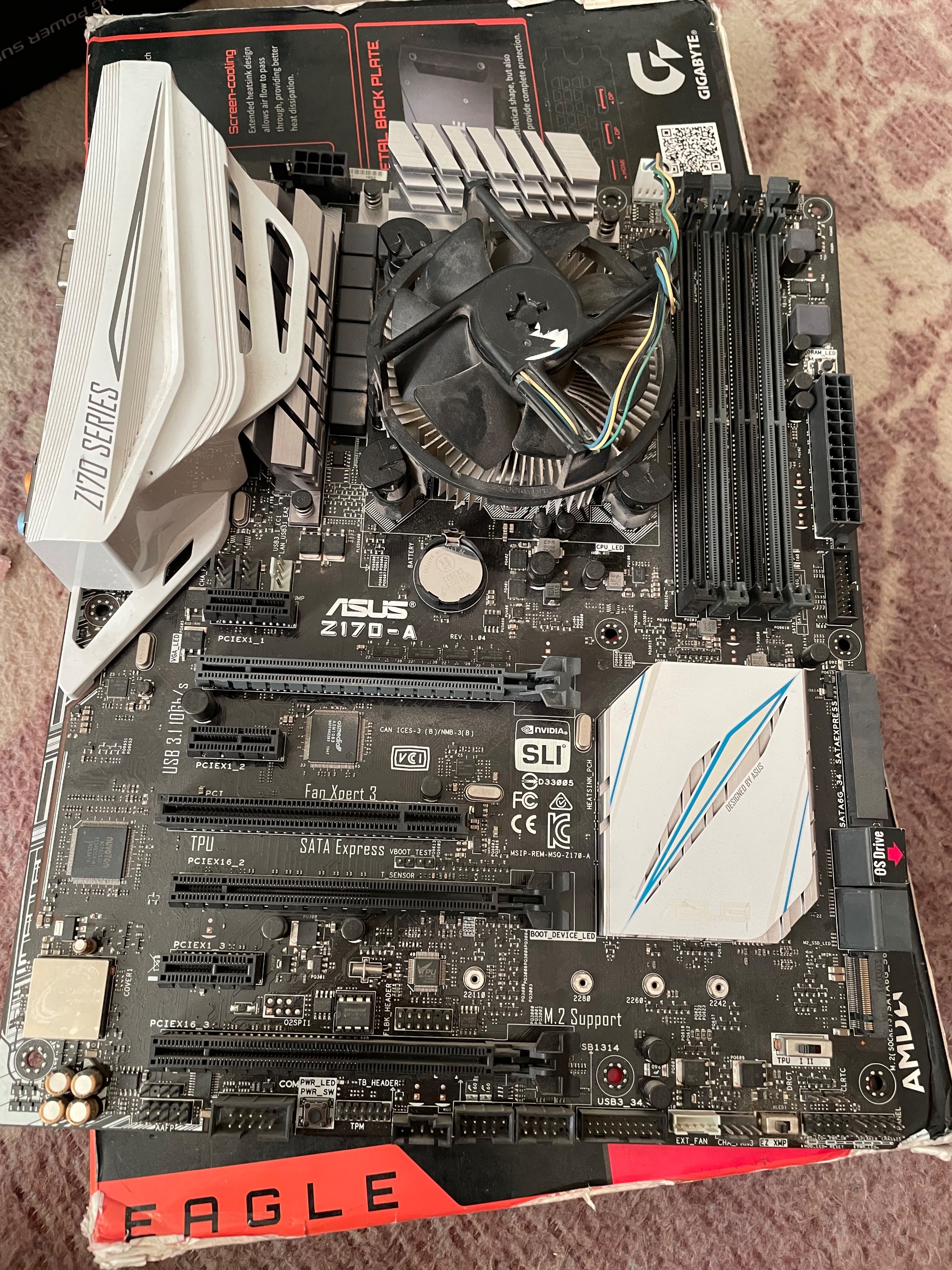 باندل حرفه ای نسل 6