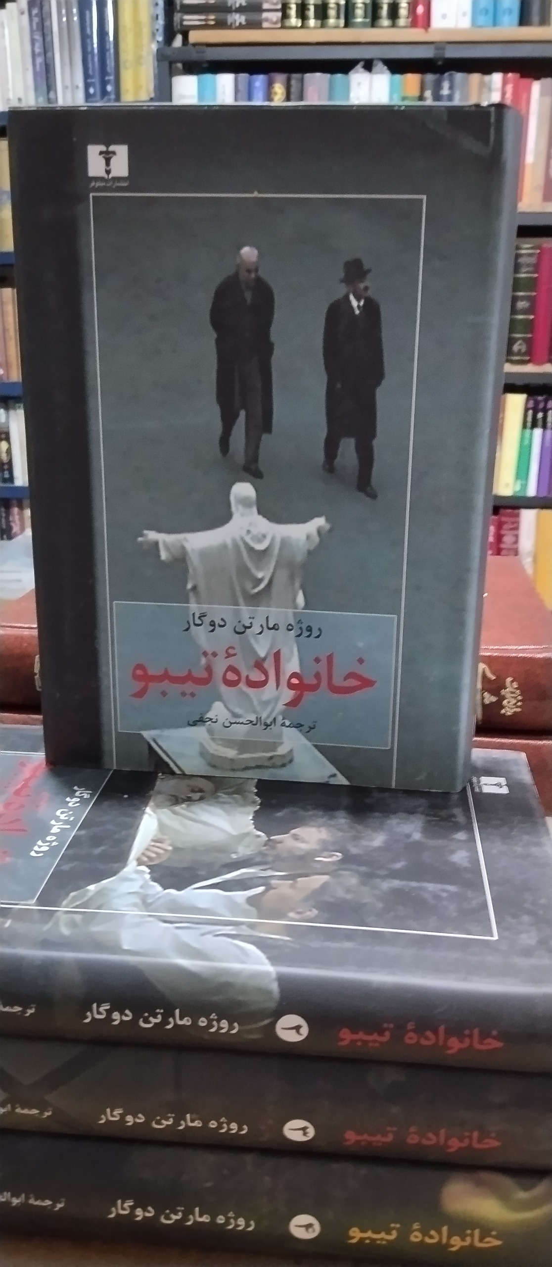 خانواده تیبو روژه مارتن دوگار ابوالحسن نجفی