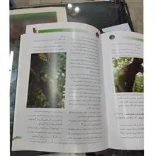 سیمای