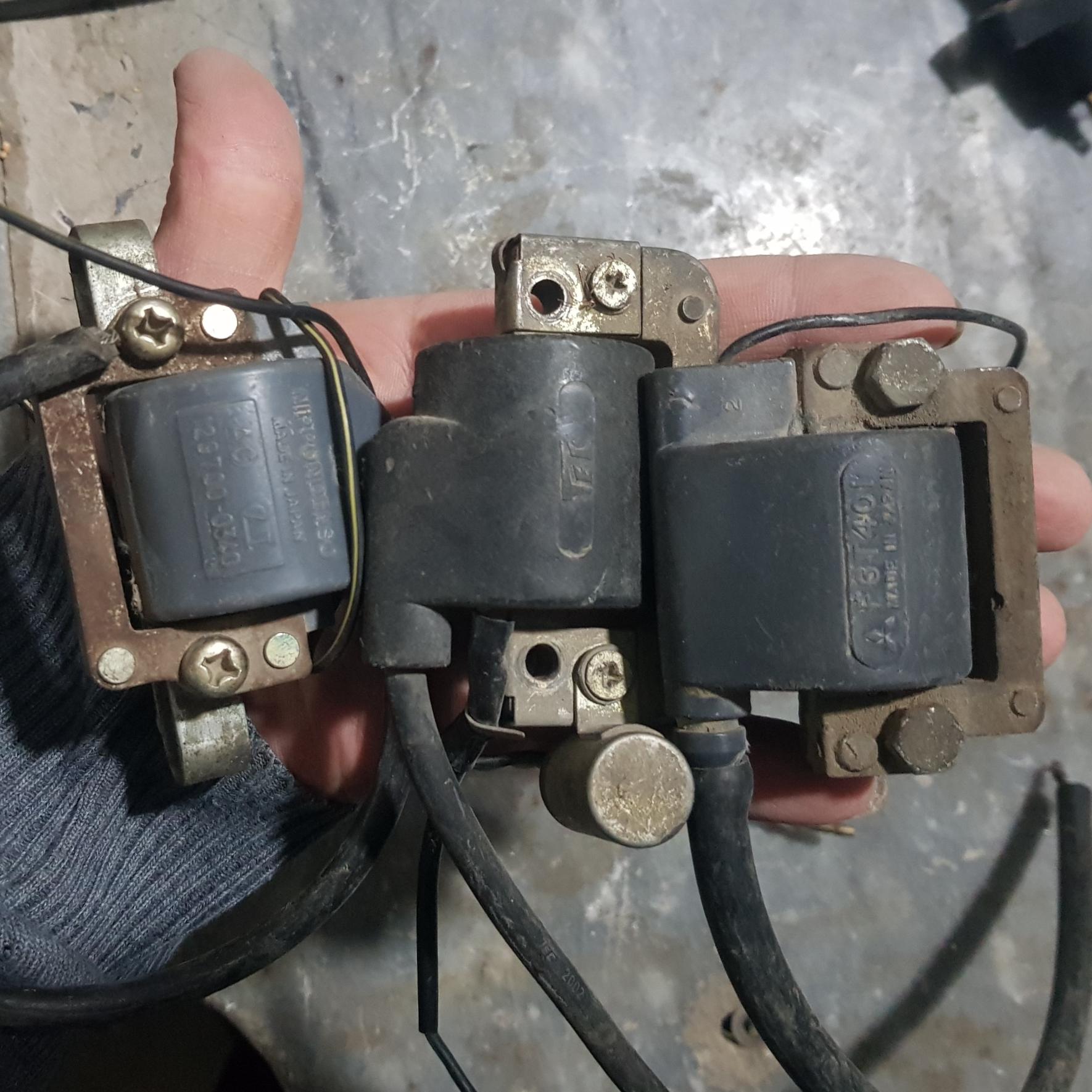 کوئل ژاپنی 6ولت