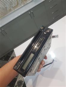 ظبط