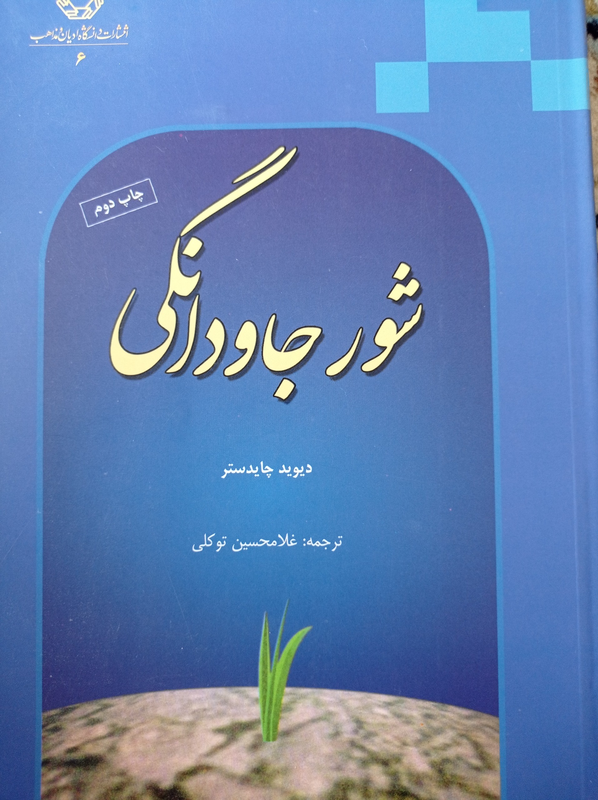 شور جاودانگی از دیوید چاستر