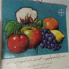 تقویم