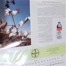 تقویم