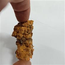 بلور
