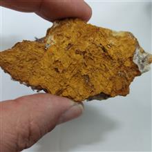 کلاستر