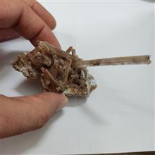 کلاستر