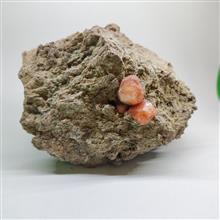 آنالسیم