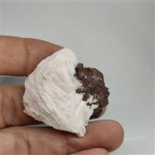 همرشدی
