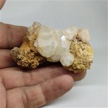 آناسیم