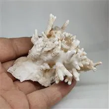 آراگونیت
