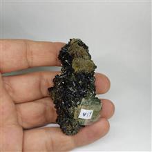 اپیدوت