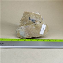 آمیتیست