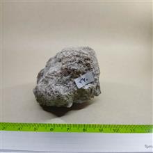 سلستین